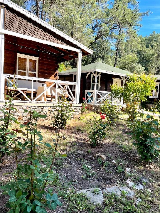 Angels Garden Hotel Kumluca ภายนอก รูปภาพ